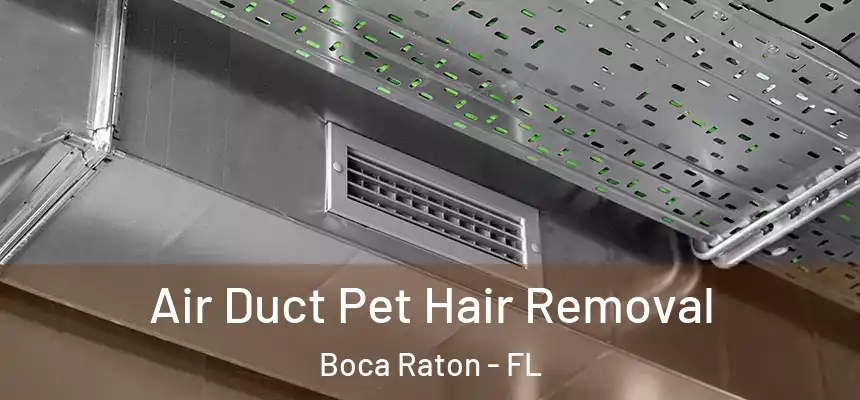 Air Duct Pet Hair Removal Boca Raton - FL
