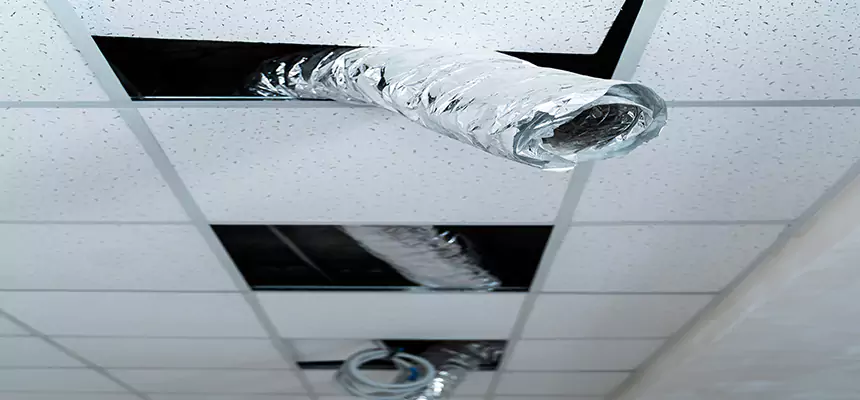 Our Air Duct Pet Hair Removal Services in Boca Raton, FL